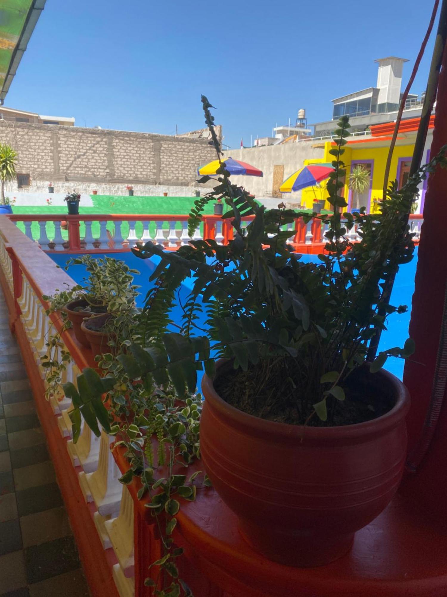 Pusary Hostel Arequipa Eksteriør billede